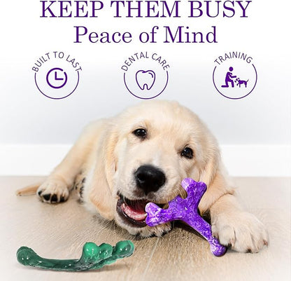 6 Pack (XL Cactus) Indestructible Tough Dog Toys for Aggressive Chewers: Beef Flavored Chew Bone for Large Dogs 20-90 lbs, Long Lasting & Keep Them Busy