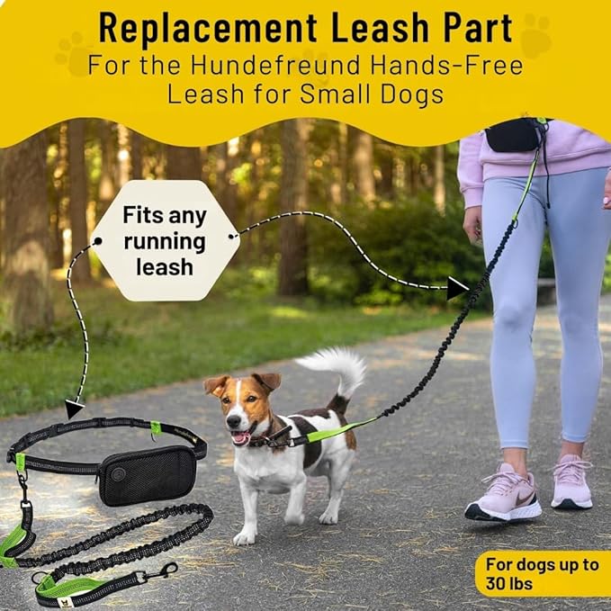 Hundefreund Hands-Free Dog Leash Replacement Bungee (43–63”) – Extension for Small Dogs – Shock-Absorbing with Dual Handles & Reflective Stitching (Green)
