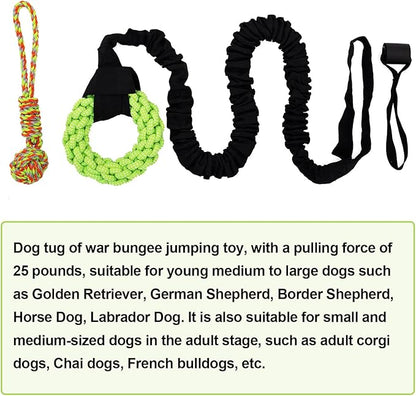 Dog Rope Toys Set with Door Anchor, Interactive Bungee Tug Toy for Indoor and Outdoor Play, Black and Green