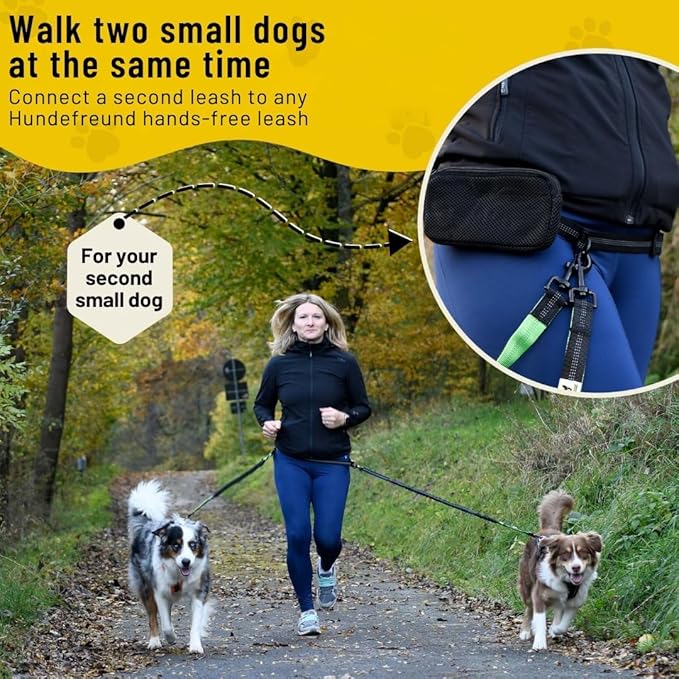 Hundefreund Hands-Free Dog Leash Replacement Bungee (43–63”) – Extension for Small Dogs – Shock-Absorbing with Dual Handles & Reflective Stitching (Green)