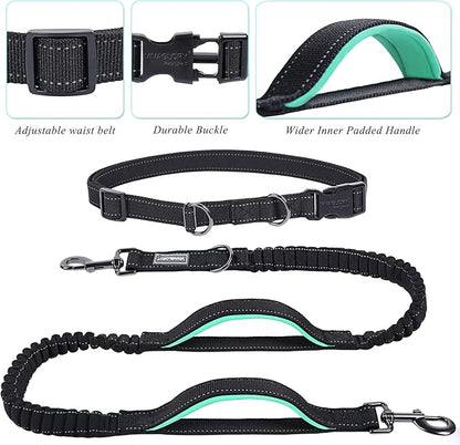 VIVAGLORY Hands Free Dog Leash Bungeetwin Running Dog Leash with Waist Belt for Running Walking & Jogging, Bungee & Around Waist for Pet, M, Black/Turquoise