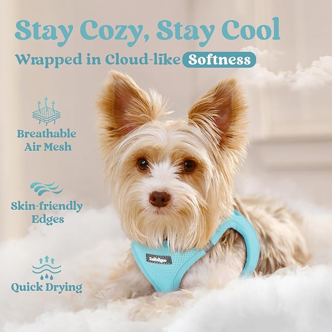 rabbitgoo Small Dog Harness, Step-in Soft Mesh Puppy Vest with Safety Buckle, Breathable Reflective Pet Harness for Large Dogs, Mint Blue XXL