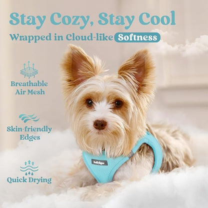 rabbitgoo Small Dog Harness, Step-in Soft Mesh Puppy Vest with Safety Buckle, Breathable Reflective Pet Harness for Small Sized Dogs, Mint Blue XS