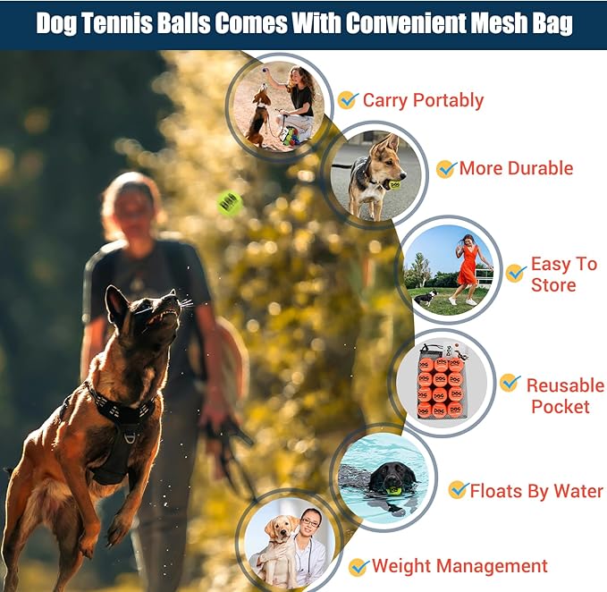 AMA SPORT Small Tennis Balls for Dogs 12 Pack 2.0" Orange Dog Tennis Balls for Puppy Small Dog Toys, Designed for Dogs Floating, Water-Hunting, Fetch, Fun Playing, Daily Exercise, Mid-air Catching
