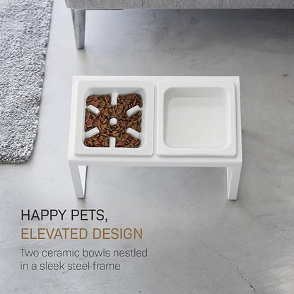 Yamazaki Home Slow Feeder Ceramic Pet Bowl with Elevated Stand – Small, Ceramic Bowl Set with Anti-Choking Puzzle for Cats and Small Dogs, Angled Design, White - 0.75 Cups, 180 ml