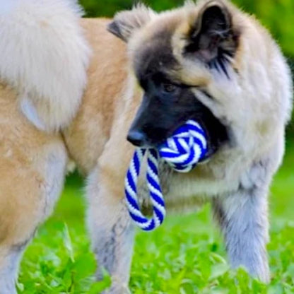 Monkey Fist Rope Toy