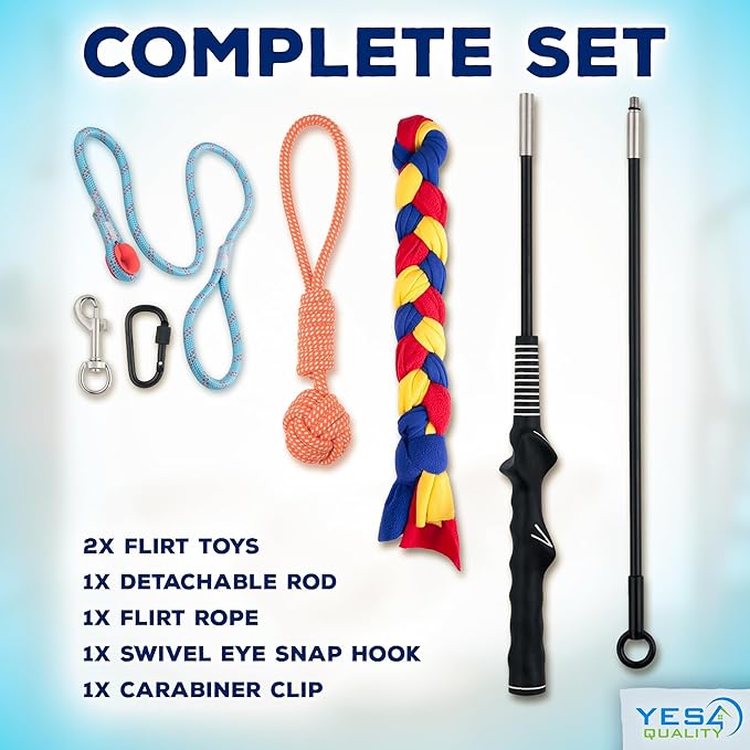 YES4QUALITY Flirt Pole for Dogs - Safe & Strong for Large Breeds with Nylon Cord - Spring Pole for Tug of War, Interactive Play & Puppy Training - Heavy Duty Teaser Wand for Outdoor Exercise