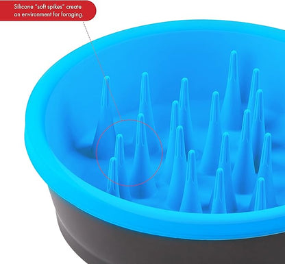 Dexas Slow Feeder Dog Bowl for Healthier Digestion, Teeth and Gums, 6 Cup Capacity, Gray and Blue