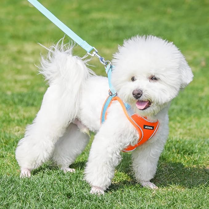 AIITLE Small Harness for Puppy with A Leash - Dog Vest Harness with Super Breathable Mesh, Reflective No-Pull Pet Harness for Outdoor Walking, Running for Small Dogs, Cats Orange XXS