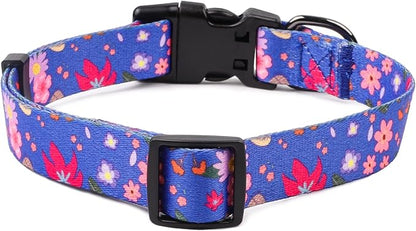 QQPETS Adjustable Soft Dog Collar: Print Flower Pink Multicolor Cute Patterns for XS Small Medium Large Pet Girl Boy Puppy Walking Running Training (S, Cornflower Blue)