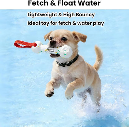 Hanging Dog Bungee Tug Toy for Puppy Small Dogs Chase, Indoor Spring Pole Over Door, Outdoor Tree Tether Tug, Interactive Pull Rope Toy for Self Play Exercise & Training