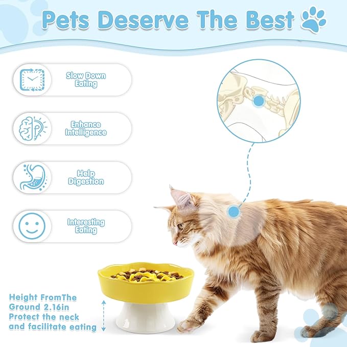 Raised Slow Feeder Cat Bowl, Ceramic Elevated Cats Food Bowl Small Cats Slow Feeder, Cute Cat Dish for Anti Vomiting for Dry and Wet Food (Yellow, 6 Inch)