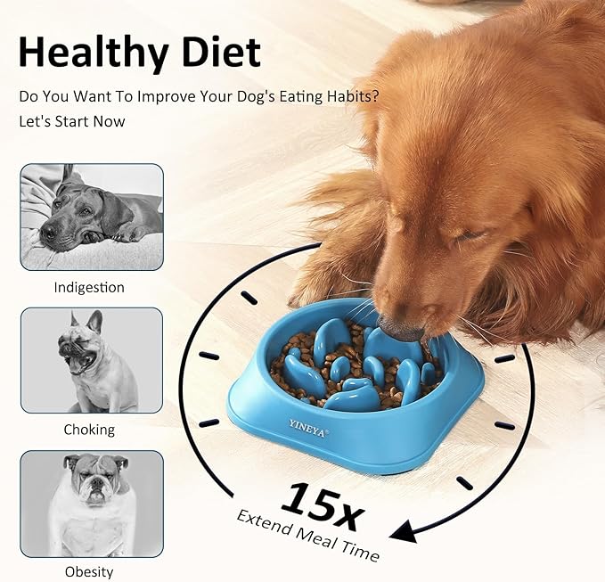 Slow Feeder Dog Bowls, Pet Supplies That Slow Down Eating, Pet Food Bowls, Maze Dog Puzzle Feeder for Medium Breed