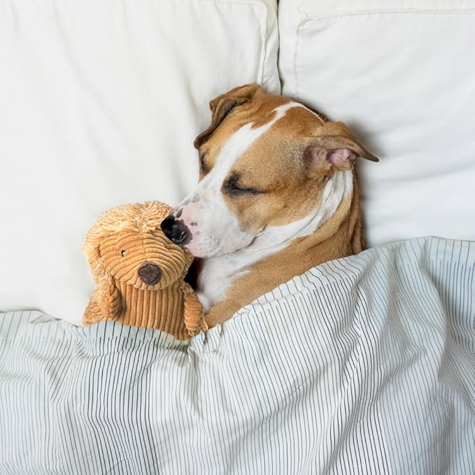 SPOT Corduroy Hedgehog Dog Toy with Squeaker, Textured Plush Toy for Small and Medium Dog Breeds, Light to Moderate Chewers, 8 Inch, Assorted Colors