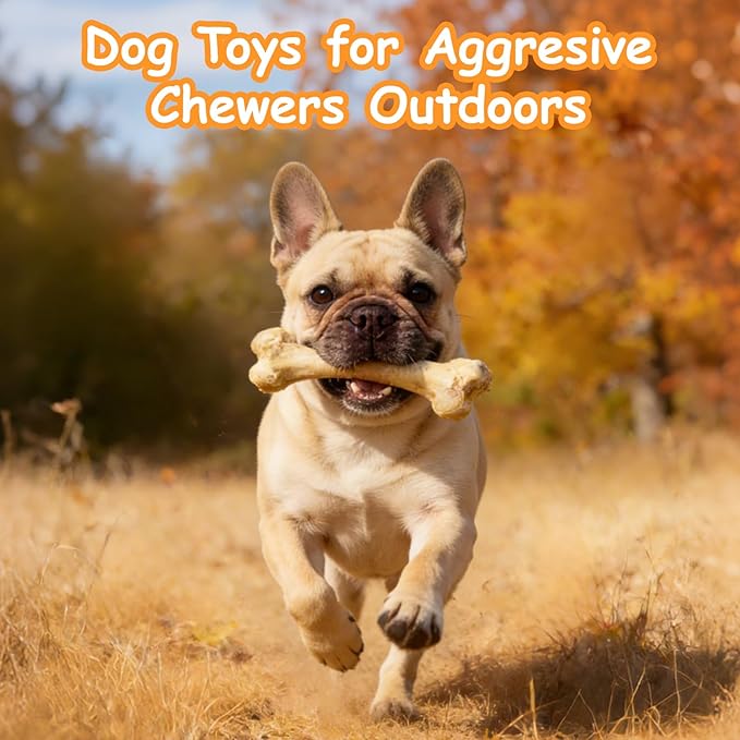 KIMOO Nylon Dog Chew Bone for Long Lasting, Durable Dog Chew Toys for Aggressive Chewers Dogs Treats Bones with Chicken Flavor for Small Dogs Up to 33 Ibs, 2 Pack