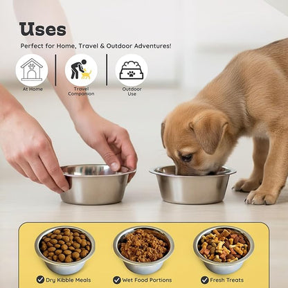 2 Pack Shallow Stainless Steel Cat & Dog Bowls, 1 Cup (8 oz) Each, Heavy Duty Small Pet Only Puppy Kitten & Birds Feeder Replacement Bowl, Rust Resistant Metal Cat Dishes for Food & Water