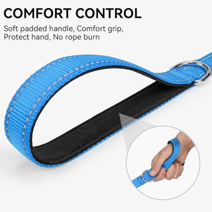 Joytale Dog Leash, 4 FT Double-Sided Reflective, Padded Handle Nylon Heavy Duty Leashes for Medium & Large Dogs Walking, SkyBlue