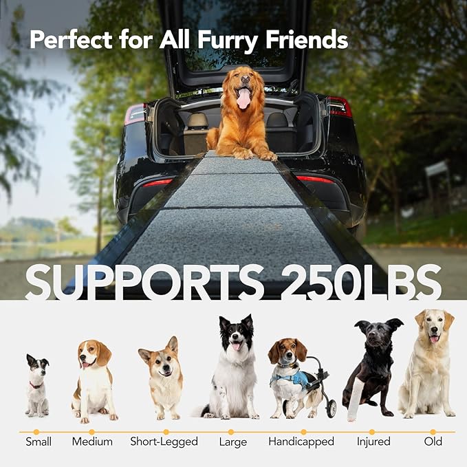 PetThem Dog Ramp for Car 71'' X-Long & 17.2" Wide Folding Dog Ramps for Large Dogs with Non-Slip Rug Surface Portable Dog Car Ramp for SUV Car & Truck, Outdoor Dog Ramp Up to 250 LBS
