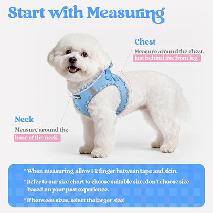rabbitgoo Dog Harness Small Sized and Leash Set, Step in Soft Light Puppy Vest, Breathable Mesh Pet Harness, Reflective for Safe Easy Walking, Blue & Plaid Trim XS