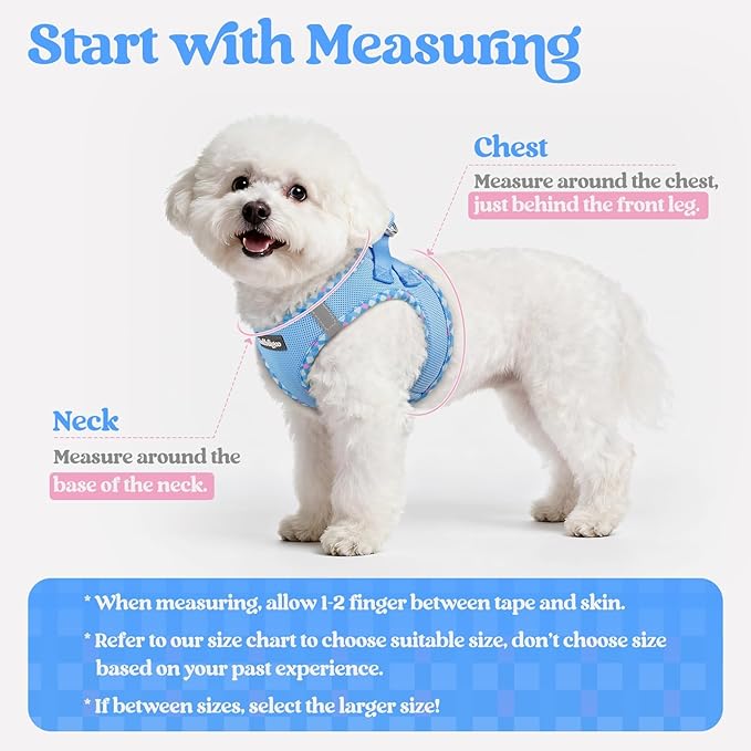 rabbitgoo Dog Harness Small Medium Sized and Leash Set, Step in Soft Light Puppy Vest, Breathable Mesh Pet Harness, Reflective for Safe Easy Walking, Blue & Plaid Trim L