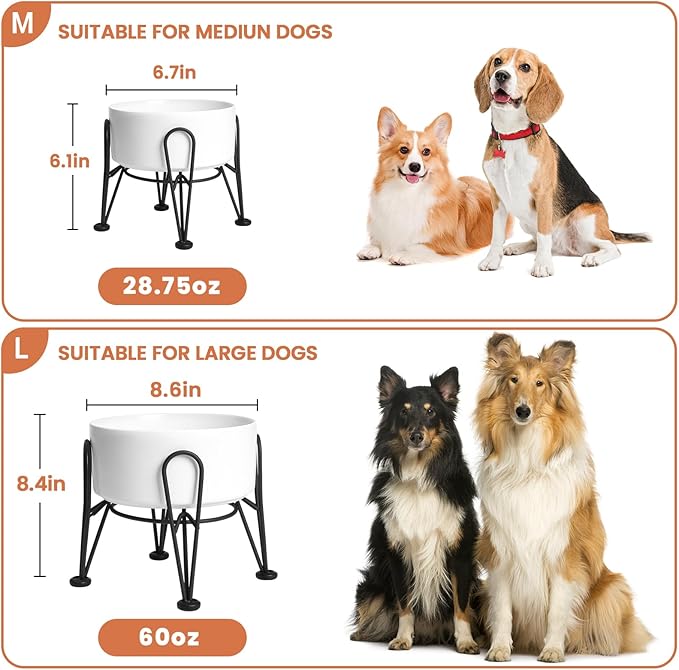 Elevated Dog Bowls, Ceramic Raised Dog Bowl Set with Anti-Slip and Non-Tip Metal Stand, 2 Pack Pet Food and Water Feeding Bowls for Small and Medium Dogs (White,3.6 Cups)