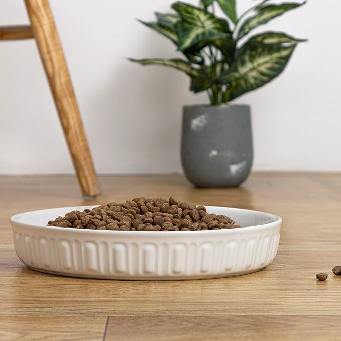 Fun Elements Shallow Dog Bowls, 10.5" Ceramic Large Food Plate for Small, Medium and Large Breeds, Non-Slip, Flat and Wide, Dishwasher Safe, Suitable for Dogs and Cats (White)