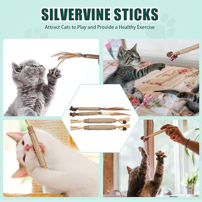 4pcs Kitten Chew Toys Teething, 2 Types Catnip Chew Toys for Cats Natural Silvervine Blend Sticks for Dental Care Treat with Raffia Feather Cat Teeth Cleaning Toy Indoor