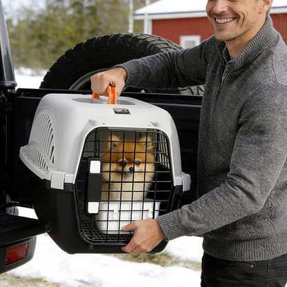18" Hard-Sided Travel Pet Carrier for Small Dogs and Cats, Handle and 4 Sides Ventilation for Pet, Portable Crate with Steel Wire Door and Security Lock for Car, Airplane, Outdoor (Black)