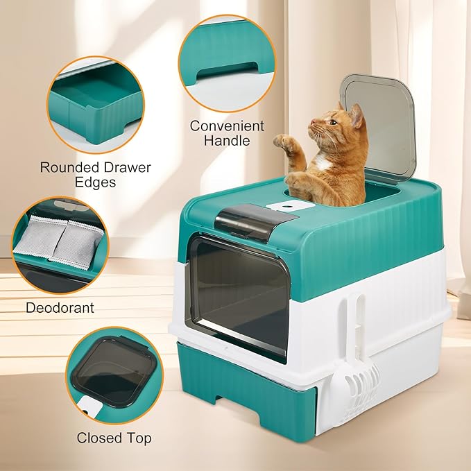 Cat Litter Box with Litter Mat, 18"x14"x13" Large Litter Box for Big Cats, Enclosed Removable Litter Boxs, Front Entry Top Exit Kitty Box, Odor Control, Easy to Clean (Green)