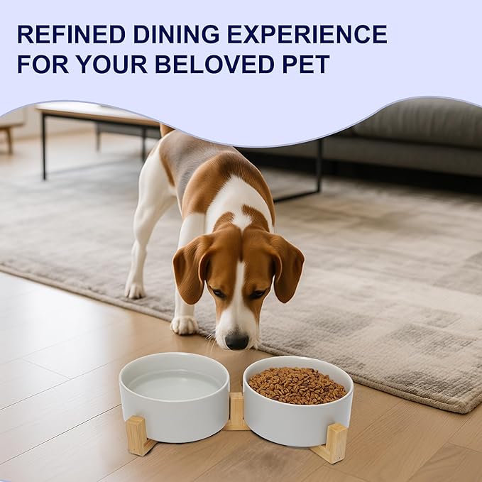 Dog Food Bowl, 13.5 oz Ceramic Food and Water Bowls for Dogs, Pet Dishes Set with Wood Stand, for Small Size Dog and Cat, No Spill Feeding Station with Weighted Base, Grey