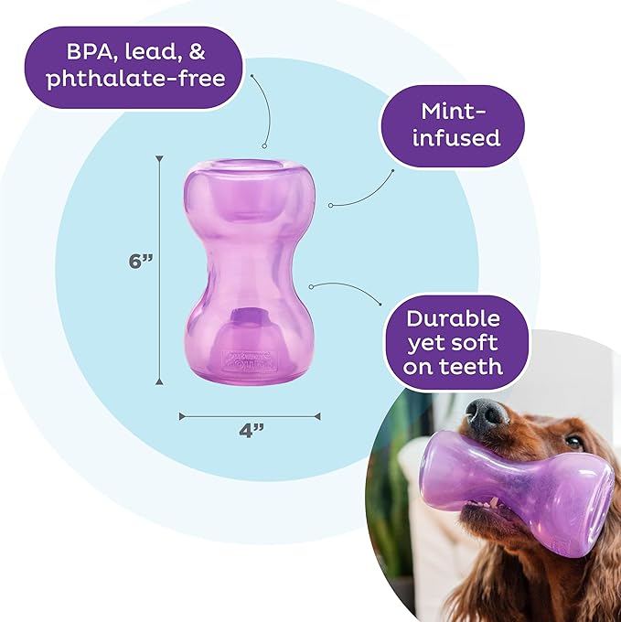 Outward Hound Double Snoop Interactive Treat Dispensing Dog Toy, Puzzle Ball Slow Feeder for Medium to Large Dogs, Mint-Scented for Mental Stimulation & Boredom Relief, 6in x 4in