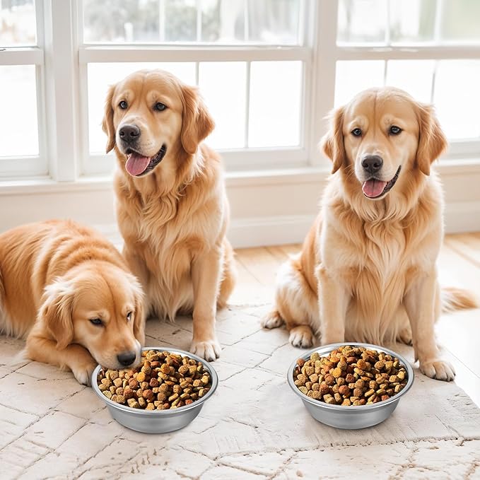 16 Pcs Stainless Steel Dog Bowls Bulk, Stainless Steel Cat Bowls, Metal Dog Food and Water Container, Replacement Basic Dogs Bowl Water Bowl Set for Small Medium Large Dogs, Dishwasher Safe