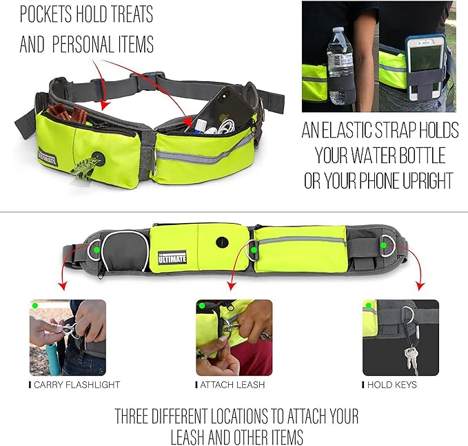 TAKSIN The Ultimate Hands Free Two Dogs Double Leash System for Walking Running Hiking Training, Reflective Bungee Leash, Treat Holder, Poop Bag Dispenser for Small Medium Large Dogs (Yellow Pack)