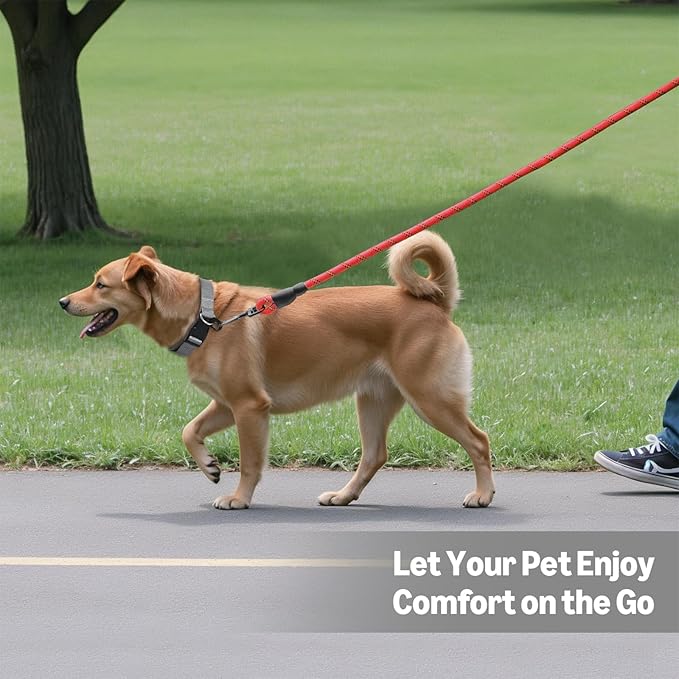 Amazon Basics Round Dog Leash, Heavy Duty, Durable Rope for Small, Medium, and Large Dogs, Lightweight Design for Walking, Training, and Outdoor Activities, Red, 4 Ft