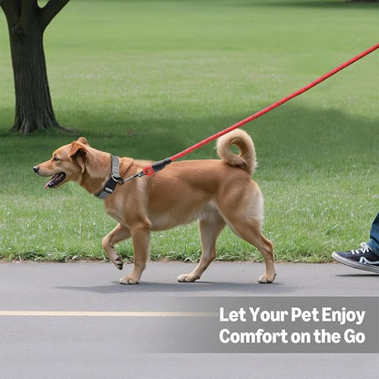 Amazon Basics Round Dog Leash, Heavy Duty, Durable Rope for Small, Medium, and Large Dogs, Lightweight Design for Walking, Training, and Outdoor Activities, Red, 4 Ft