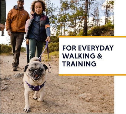 Ruffwear, Front Range Dog Harness, Reflective Soft Padded Everyday Harness with Dual Leash Clips, Adjustable and Lightweight Fit for Training or Walking for All Dogs, Red Clay, Small