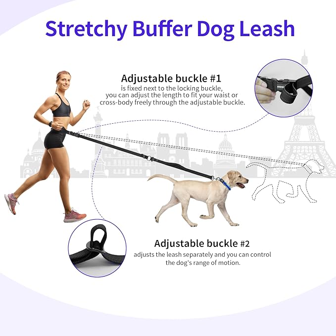 Kazazoo Hands-Free Dog Leash with Adjustable Length 5.5-8.5FT + Dual Padded Handles Reflective Safety for Walking, Jogging & Training | Suitable for Medium to Large Dogs & Puppies M Size Black