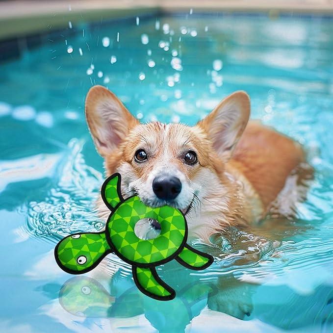 Squeaky Dog Toys, Floating Dog Toys for Indoor or Outward Play, Swim Ring Design Interactive Dog Gifts for Small and Medium Dogs - Turtle