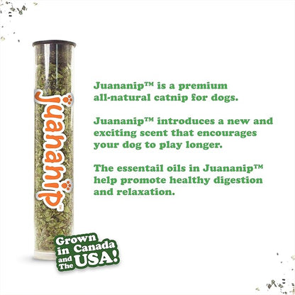 Doggijuana Tuffer Chewer Plush Dog Toy | Funny Dog Toy Plush with Juananip Catnip for Dogs | Calming Aid for Dogs | Interactive Squeaky Chew Toy for Play (Eggs & Bacon)