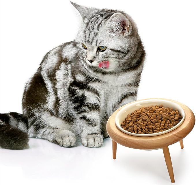 DEAYOU Ceramic Cat Bowl Adjustable, Tilted Elevated Raised Pet Dish, No Spill Pet Food Water Feeder, Slanted Dog Bowl with Wood Stand for Kitty, Pet Supplies, Stress Free, 600 ML/20 OZ, Cream White