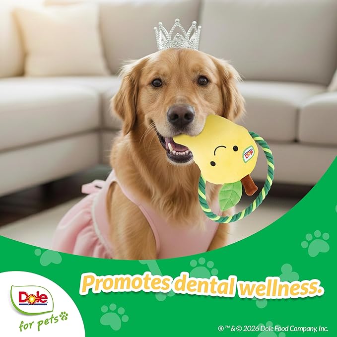 Dole for Pets® Dog Rope Toy with Squeakers, Mango Tug of War Dog Toy, Tough Cotton Rope Toys for Dogs, Aggressive Chew Toys for Medium Dogs