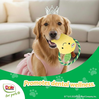 Dole for Pets® Dog Rope Toy with Squeakers, Mango Tug of War Dog Toy, Tough Cotton Rope Toys for Dogs, Aggressive Chew Toys for Medium Dogs
