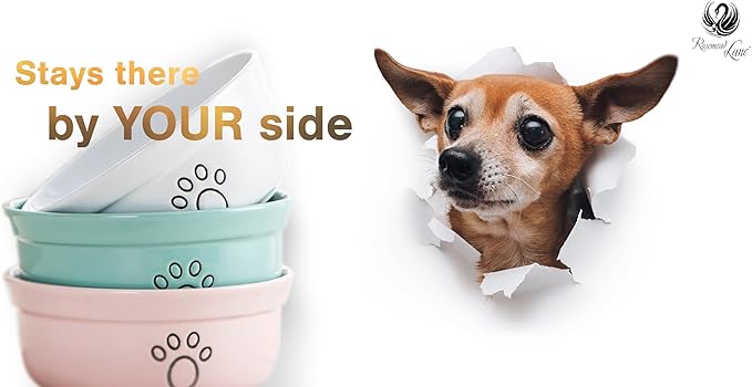 Ceramic Dog Bowls, Pet Feeding Bowls for Cats and Small Dogs 20 oz (6", Blue/Pink/White)