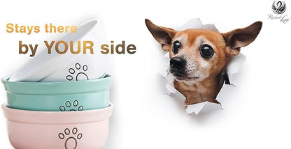 Ceramic Dog Bowls, Pet Feeding Bowls for Cats and Small Dogs 20 oz (6", Blue/Pink/White)
