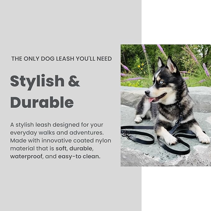 Hands-Free Waterproof Dog Leash, Adjustable Waist & Crossbody Dog Leash for Running, Walking & Hiking (Black, 8 FT)