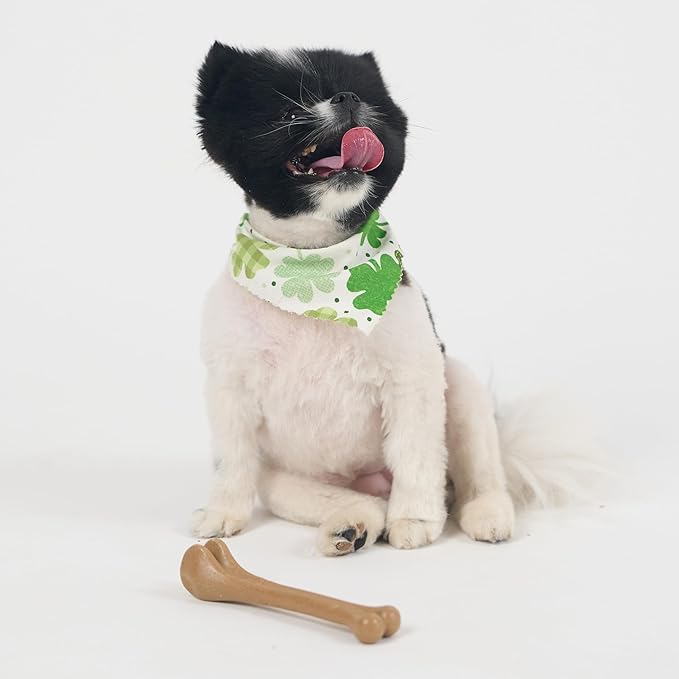 SPOT Bam-Bones Bone - Made with Strong Bamboo Fiber, Durable Long Lasting Dog Chew for Light to Moderate Chewers, Great Toy for Adult Dogs & Teething Puppies under 25lbs, 5.75in, Chicken Flavor