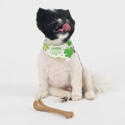 SPOT Bam-Bones Bone - Made with Strong Bamboo Fiber, Durable Long Lasting Dog Chew for Light to Moderate Chewers, Great Toy for Adult Dogs & Teething Puppies under 25lbs, 5.75in, Chicken Flavor