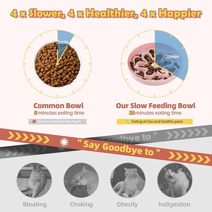 Slow-Food Cat Bowl - Made of Melamine, Suitable for Both Dry and Wet Food - Cute Flower Maze Pattern, Promotes Healthy Feeding and Helps Protect Whiskers - Dishwasher Safe - 6.3 in Wide x 1.1 in high