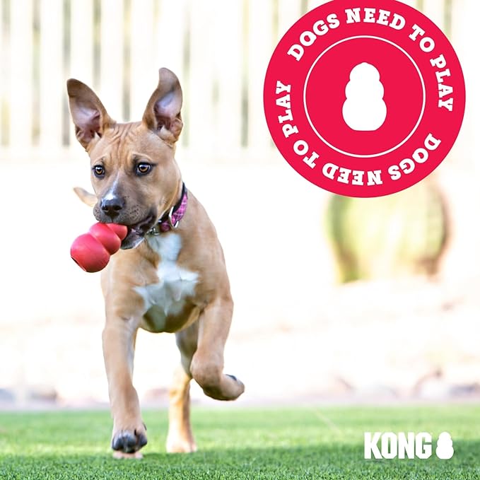 KONG Puppy Activity Ball - Soft & Durable Natural Puppy Rubber Dog Toy - Chew Toy for Teething Puppies - Eases Aching Teeth & Gums - for Medium Puppies - Randomly Provided Color