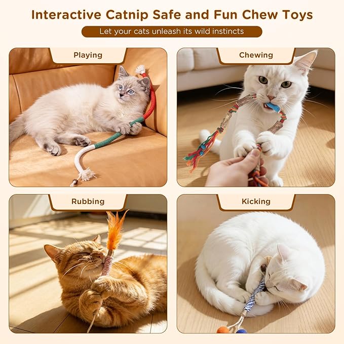 Catnip Toys for Indoor Cats - Silvervine Sticks & Cat Chew Toys for Teeth Cleaning - Refillable Natural Catnip & Silvervine Kit for Kittens & Adult Cats - 8 Pack